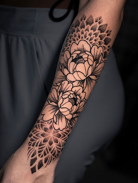 Imagen del curso: Curso 5